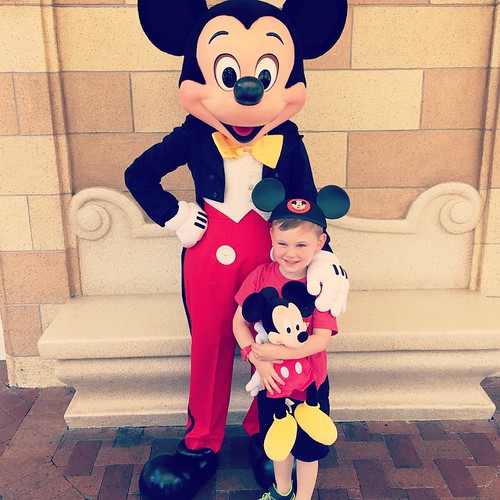 A mischief of mice. disneylander Disneyland mickeyMouse… Flickr