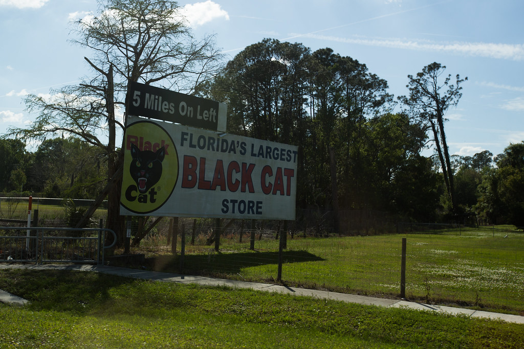Florida's Largest Black Cat Store Tom Woodward Flickr