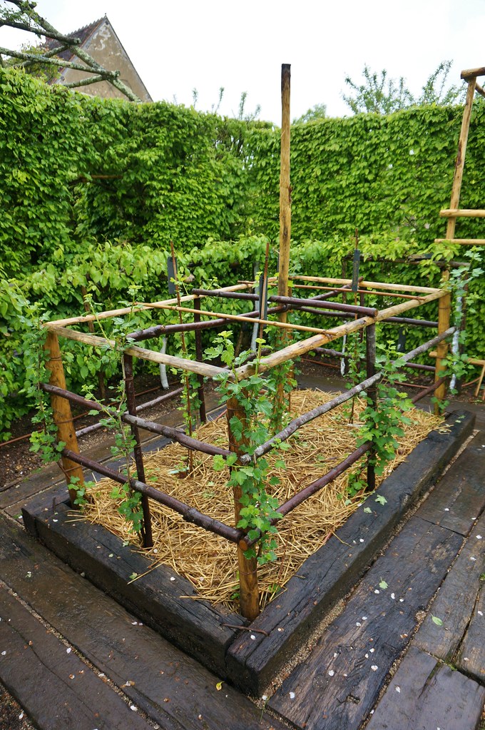 Creative wooden supports for plants (7) Karl Gercens Flickr