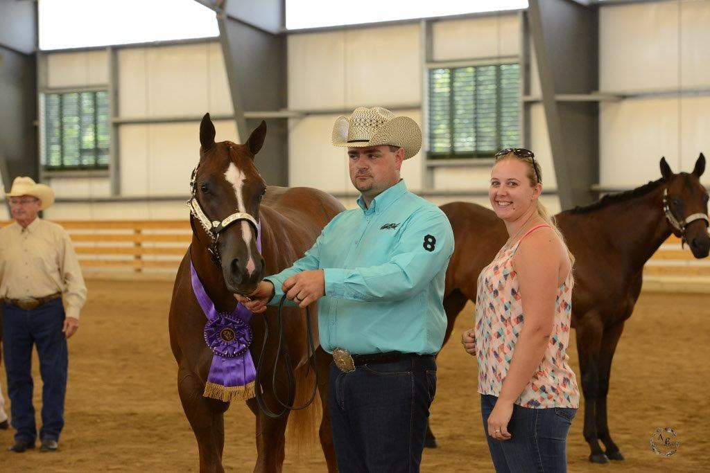 2016 PQHA Classic The Pennsylvania Quarter Horse Associati… Flickr