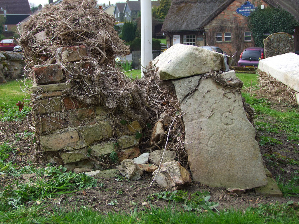 T G 1668 fragments St John the Baptist, Wistow, Cambridge… Flickr