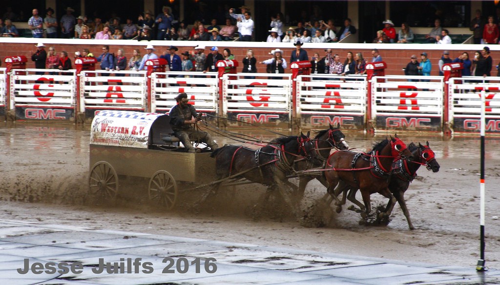 Calgary Stampede 2024 Schedule Chuckwagons Calgary Stampede Chuckwagons Chance Bensmiller drives his … Flickr