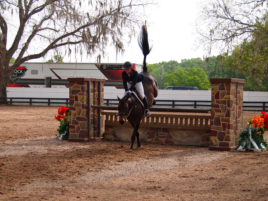 HITS horse show in Ocala, Florida Amanda Flickr