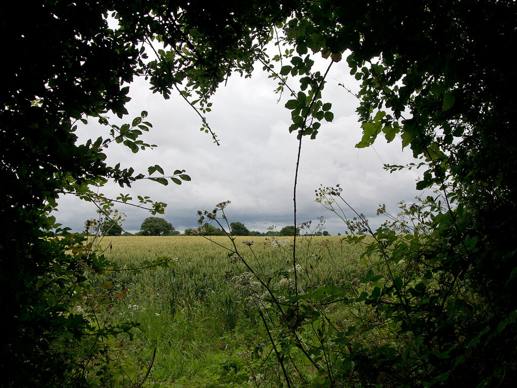 Photos Arlesey to Letchworth Garden City Walk SWC