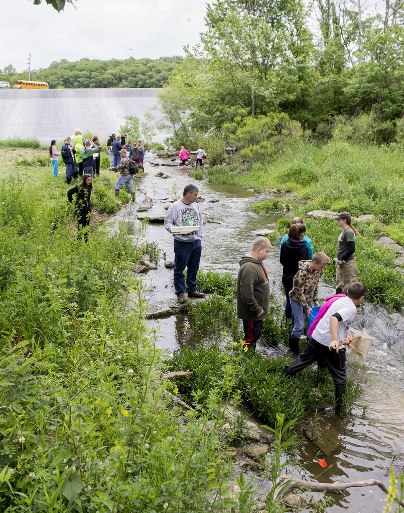 Carlinville Stream Discovery The entire Carlinvil… Flickr