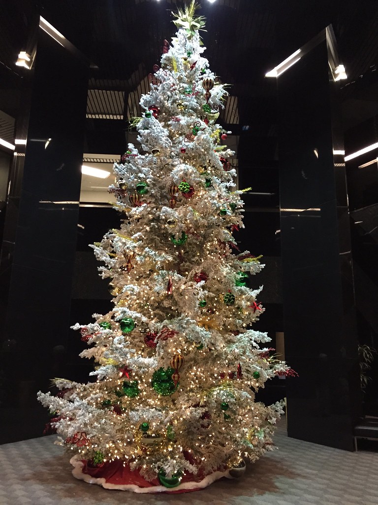 Christmas 2014 Ventura, CA cariberry Flickr