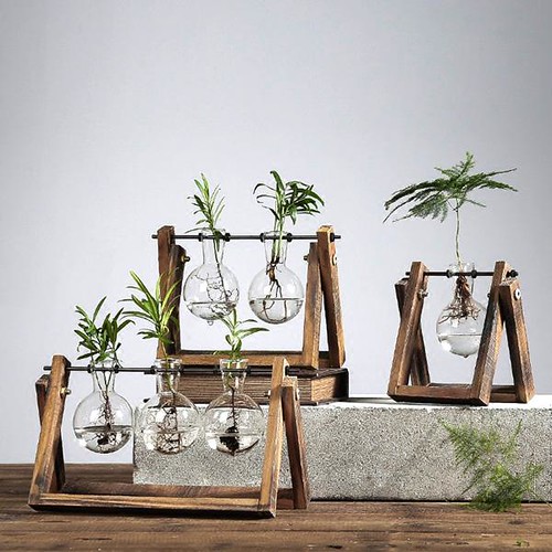 Rustic Plant Terrarium with Wooden Stand (Various Sizes) Flickr