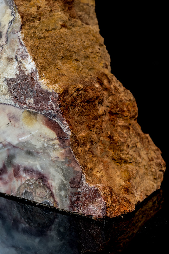 PetrifiedWood 52weeks 2018 Something Old. Petrified wood … Flickr