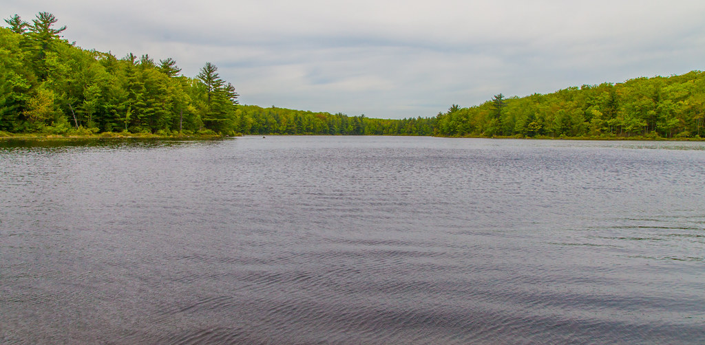 Wolf Lake Ripples On a spring day in Wolf Lake, NY. John Kocijanski