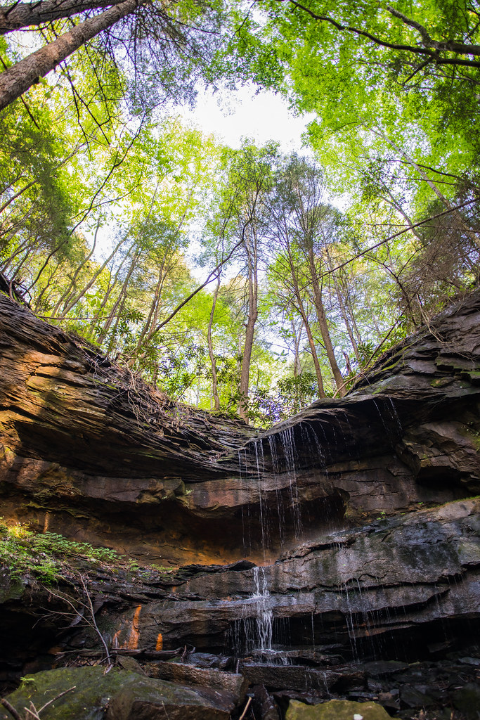 Its fertile ground overflows Don Sniegowski Flickr