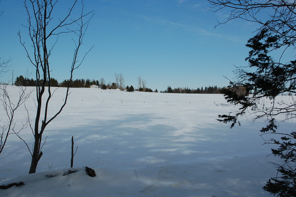 PEI 201504020 Albion Cross Shane MacClure Flickr