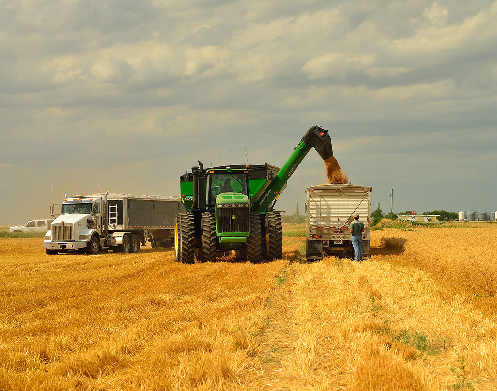 Harrold2016bM Harrold, SD Custom cutter operation offloadi… Flickr