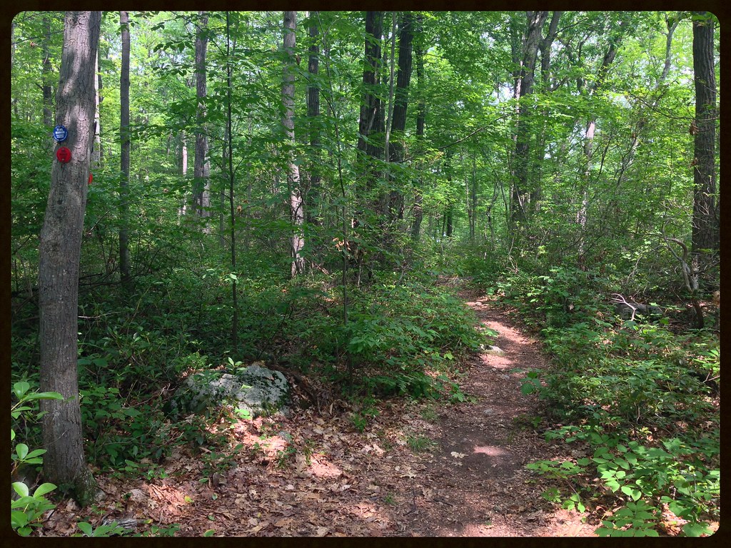 Charcoal Burners Trail/Fahnestock Trail Back on the blue F… Flickr