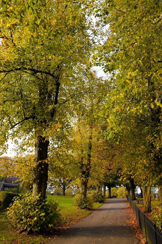 Victoria park Salisbury Wiltshire toppuk Flickr