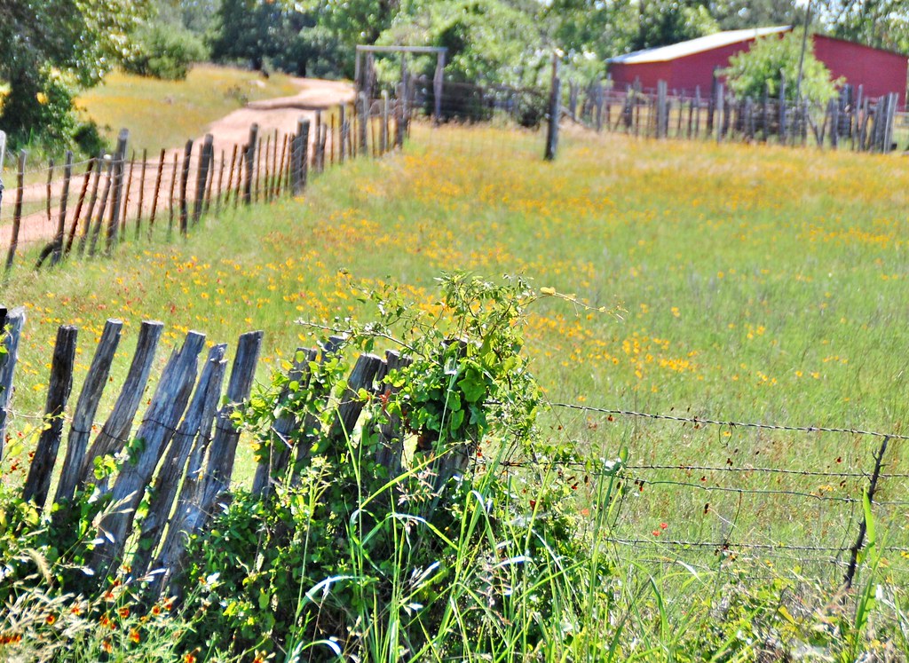 Willow City Loop Drive Willow City, TX Lynn Koch Flickr