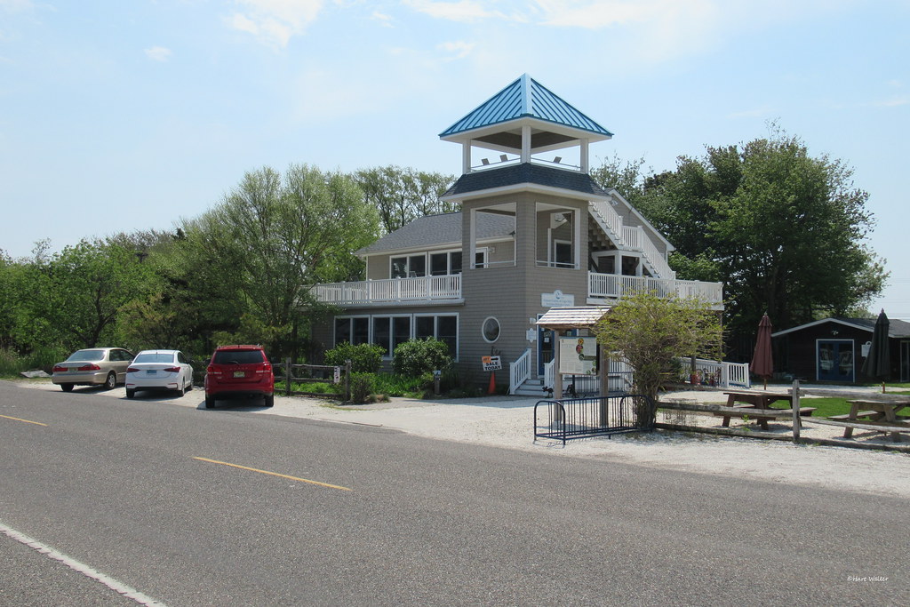 Nature Center, Cape May, NJ IMG_1656 Hartmut Walter Flickr