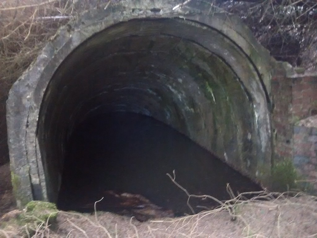 Brynteg colliery adit open adit at Brynteg Colliery Flickr