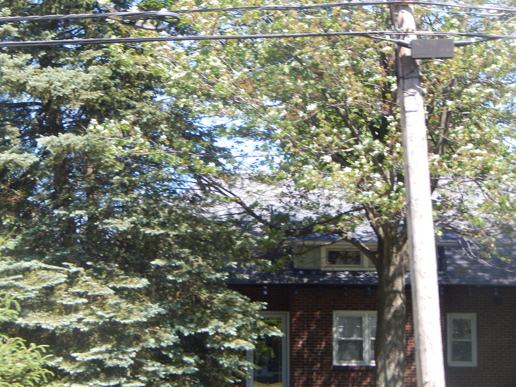 Getzville Station Getzville, New York Adam Moss Flickr