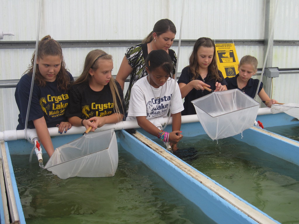 Crystal Lake Middle School Our Stock Enhancement Research … Flickr