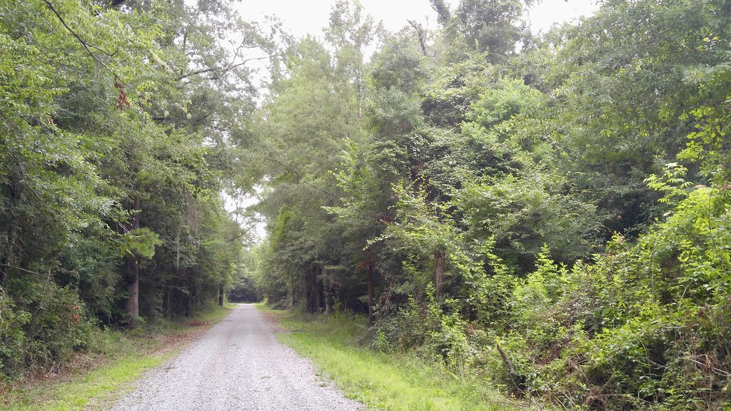 Indian Bayou Rd., Pearl R. WMA Habitat shot for eBird list… Flickr