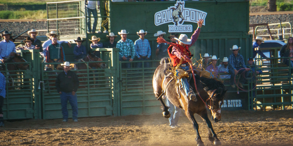 DSC02739 Cal Poly Rodeo 4/15 susancal Flickr