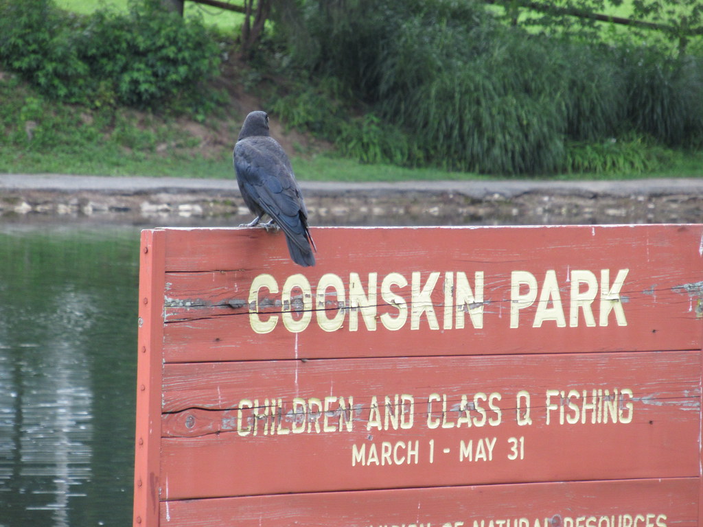 Flickriver Photoset 'Coonskin Park 71016' by JJP in CRW