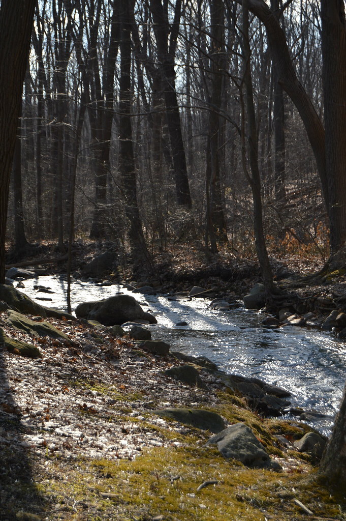 img_201504070259417740 Shannon Crowder Flickr