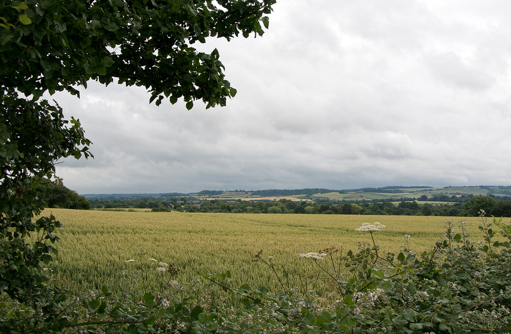 Photos Arlesey to Letchworth Garden City Walk SWC