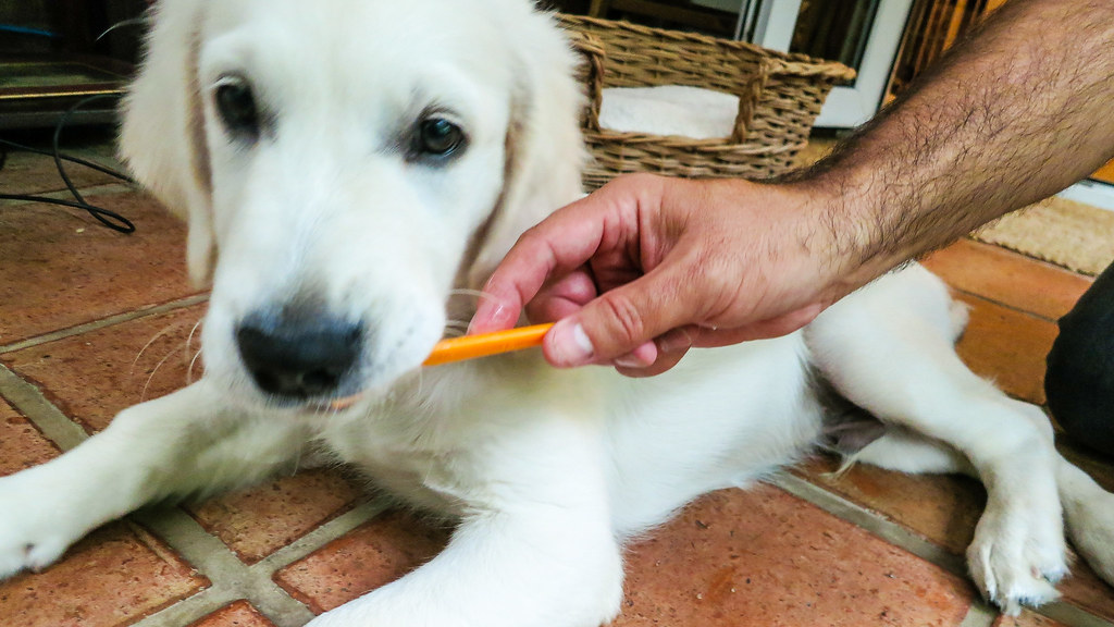 Teeth Cleaning Formulated with baking soda and scented wit… Flickr
