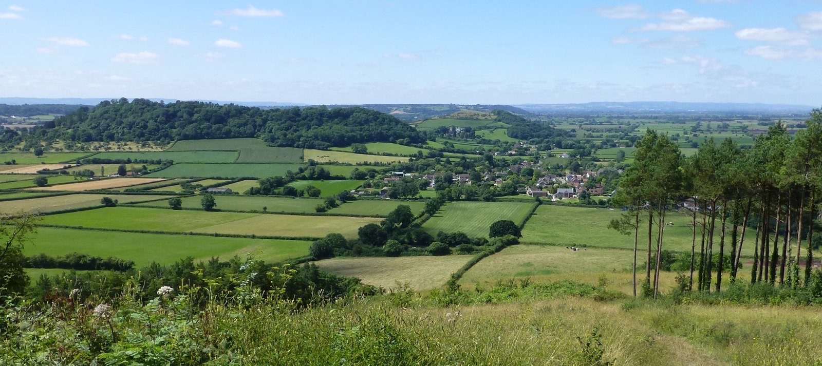 Combe Hill and Hatch Hill, Poldens Flickr