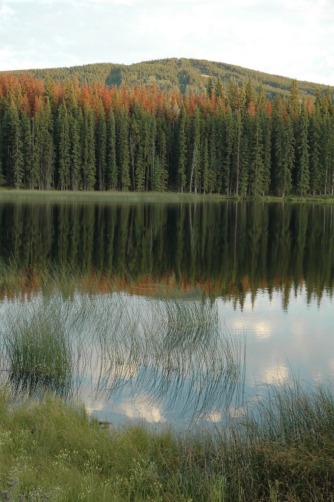 Lac le Jeune a photo on Flickriver