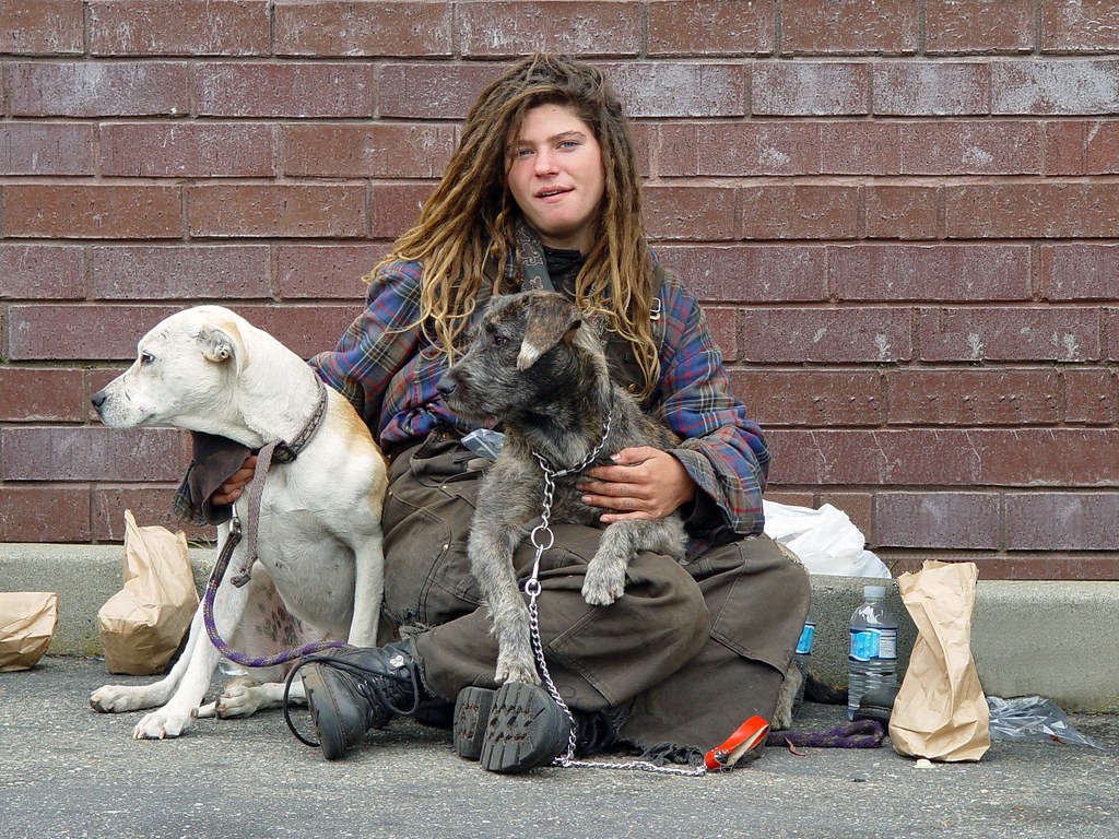 Homeless woman with dogs a photo on Flickriver