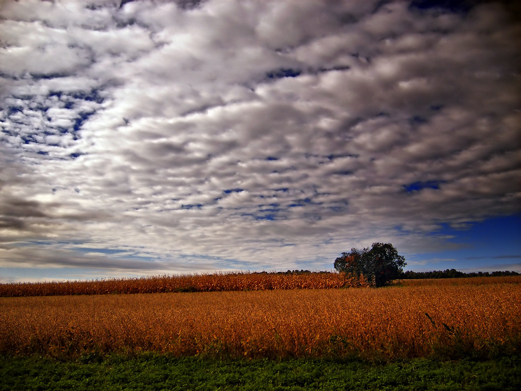 Agrestic Field and sky, Greenwich Township, Berks County. Nicholas