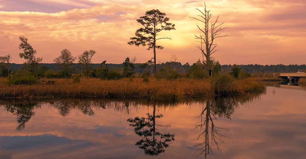 Cuckolds Landing Fishing creek in Yemassee, South Carolina… Suzanna