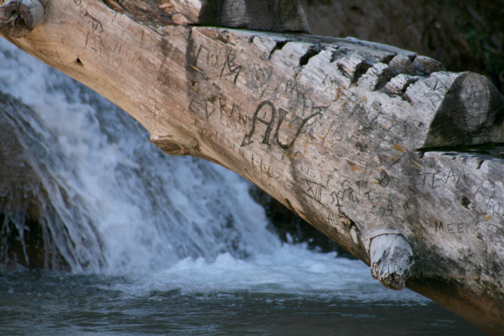 Ellison Creek waterfall Ellison is a spring fed creek that… Flickr