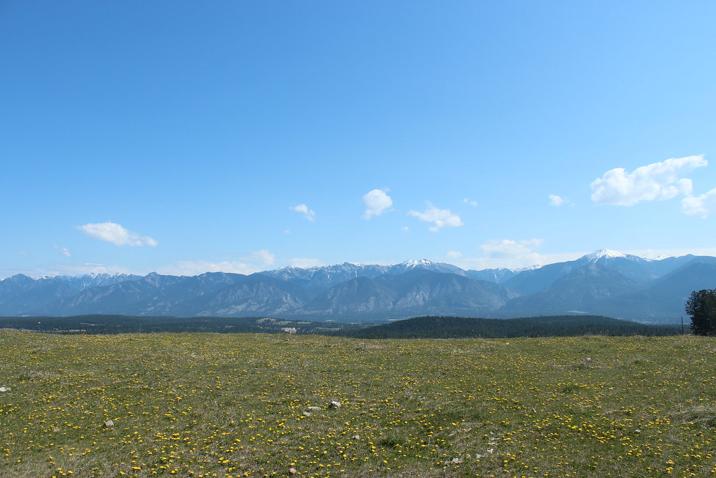 Ecological Tour of Zehnder Ranch Photo By Kevin Nimmock Flickr