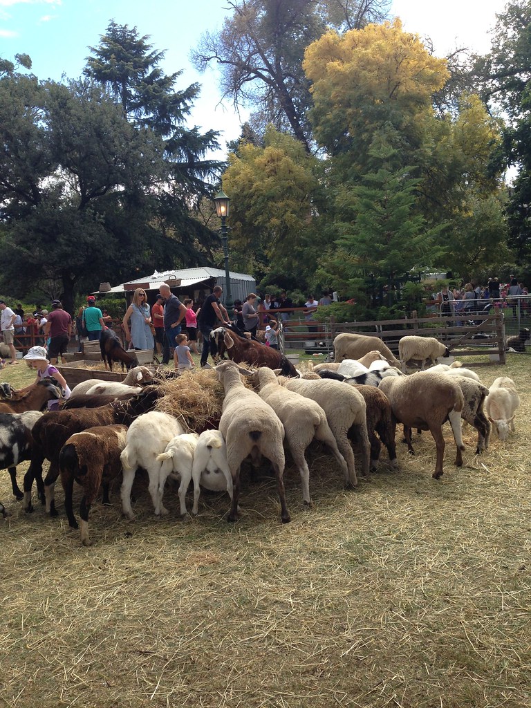 Petting Zoo Rosalind Park, Bendigo Stu Rapley Flickr