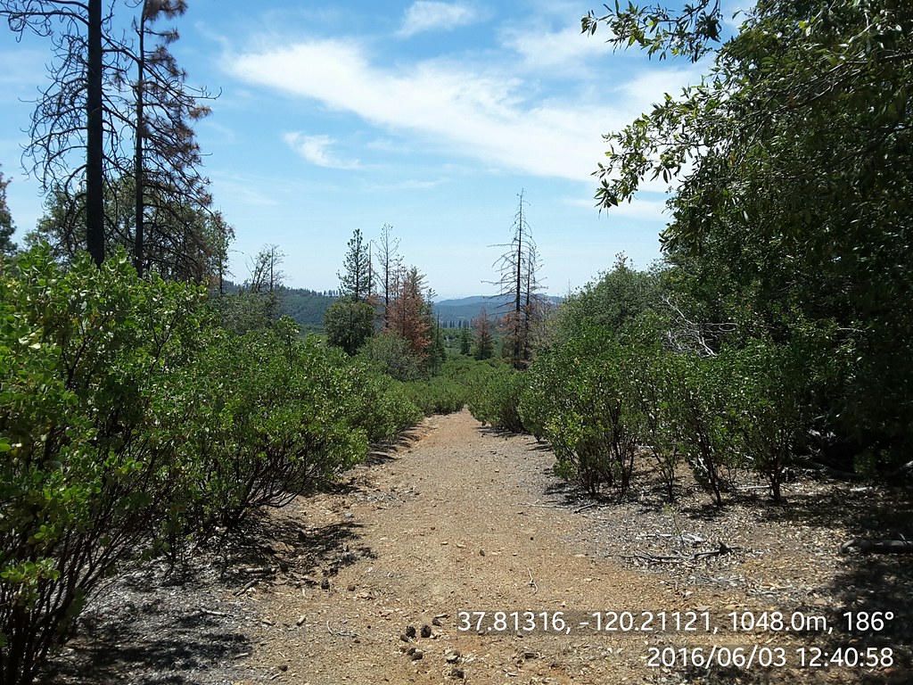 Greeley Hill Greeley Hill is another ongoing BLM fuelbreak… Flickr
