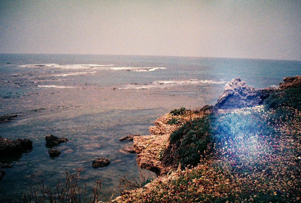 Canon AE1 Tungsten X 50 iso blikka_ Flickr