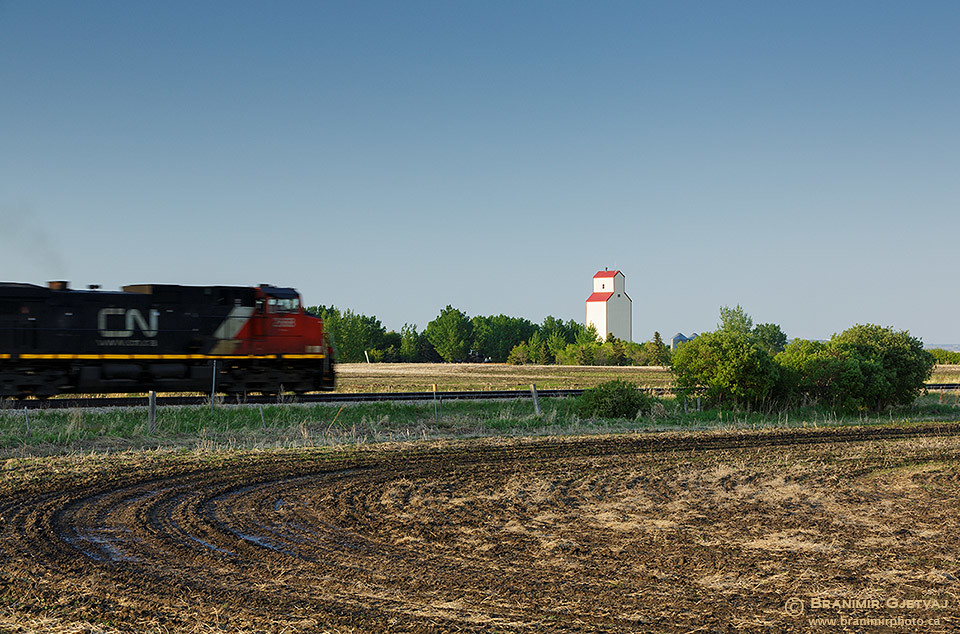 Elevation of Prud'Homme, SK S0K 3K0, Canada Topographic Map