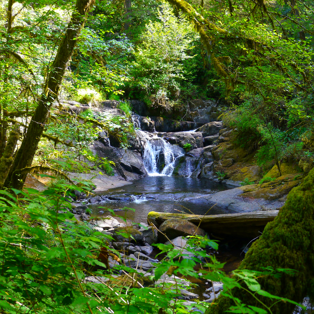 Beaver Creek Falls Beaver Creek Falls is the uppermost wat… Flickr