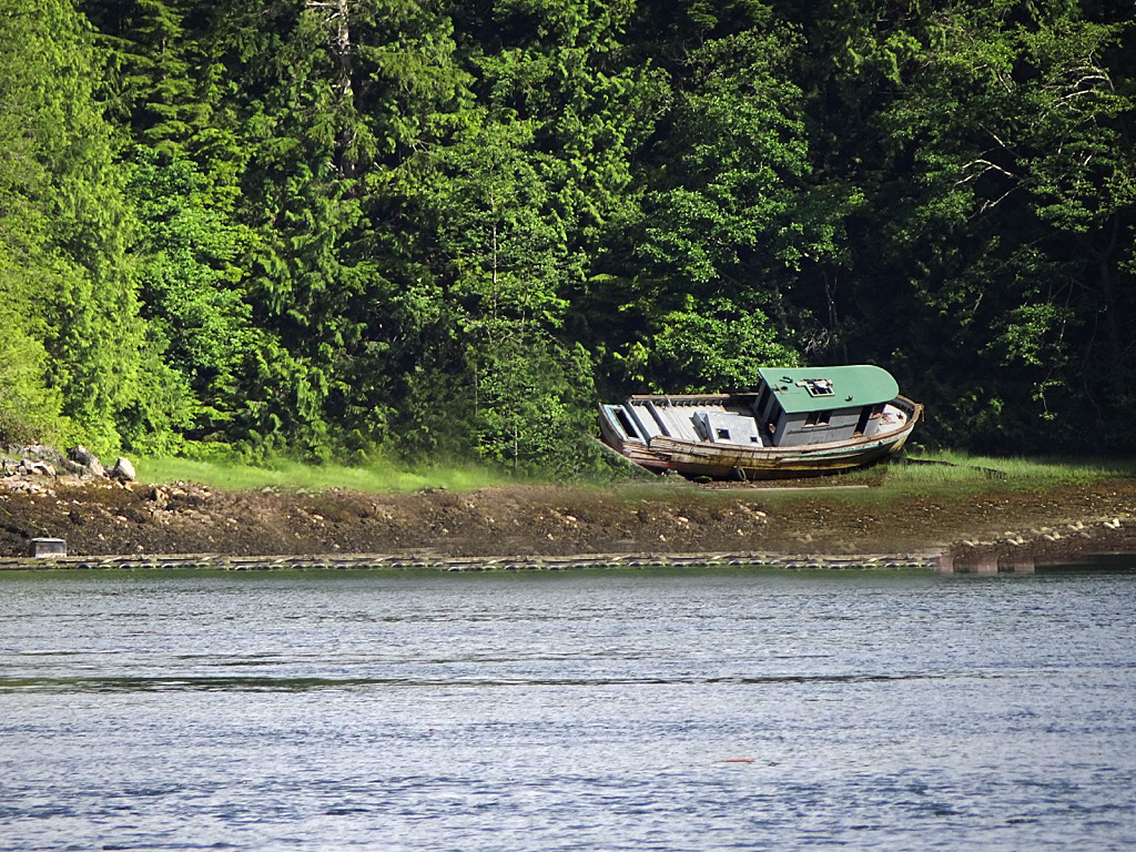 Green roof boat Wayne Broadhead Flickr