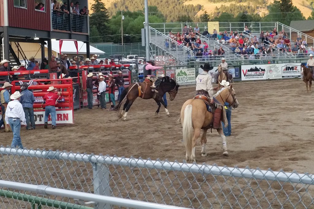 Jackson Hole Rodeo July 15, 2016 rodeo Jena P Flickr