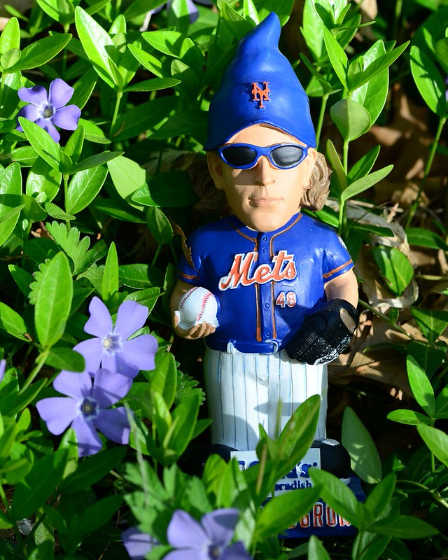 35 Gnome Garden Ideas