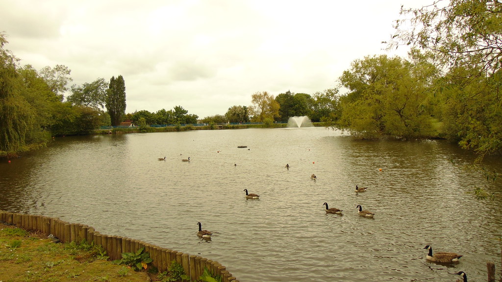 Lake Meadows, Billericay essexwoods.uk/Parks/LakeMeadows Flickr