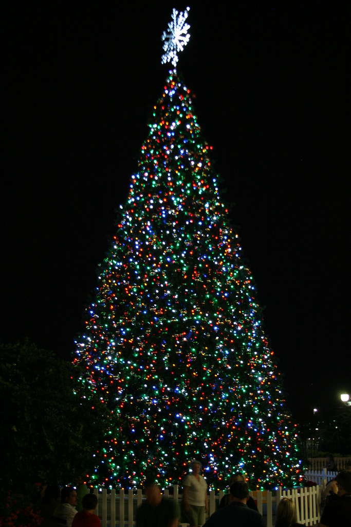 Cranes Roost Christmas Lights 2011 Flickr