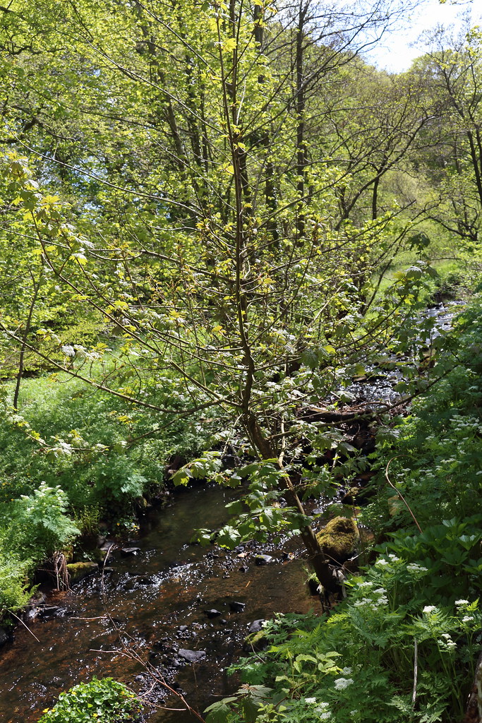 Bucks Burn,Howes Road,Bucksburn,Aberdeen Alan Longmuir. Flickr