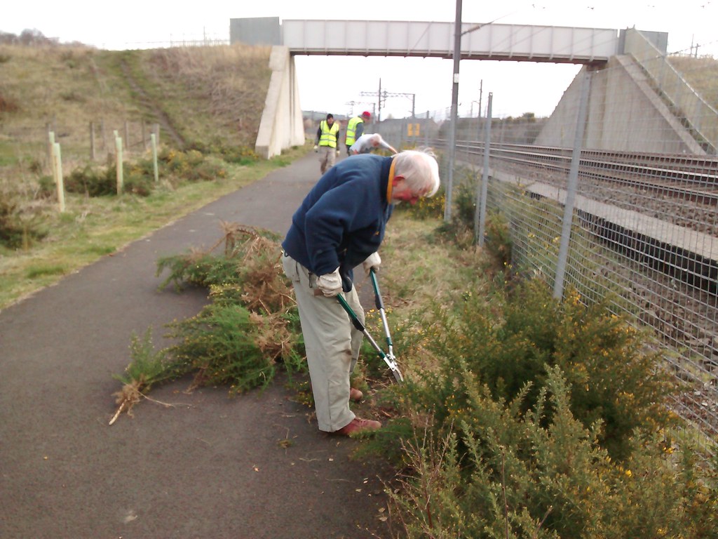 IMG_20160411_110922151 Cutting gorse NCN75 Birniehill, Bat… Flickr