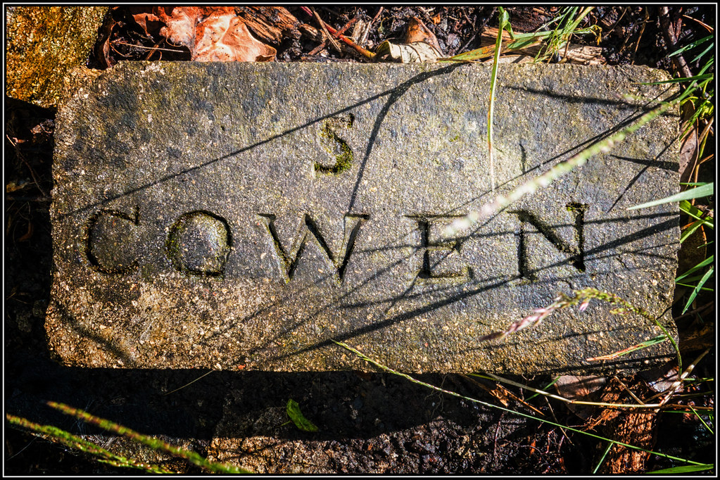 Blaydon Burn Food Festival Flickr