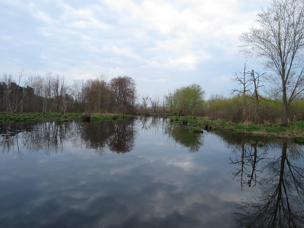 Bolton Flats 2015 Flickr